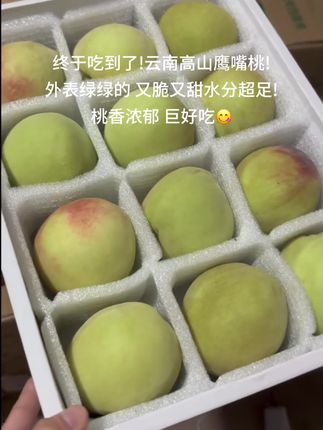 鹰嘴桃的快乐谁懂?!简直是我的梦中情桃!外表绿绿的云南高山鹰嘴桃!果肉饱满多汁,果香浓郁!又脆又甜超级好吃,水分超足,脆桃党一口沦陷! 好吃到停不下来!#鹰嘴桃 #桃子超甜 #脆桃党#新鲜采摘 #值得推荐