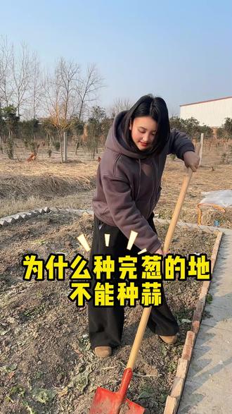 你知道为什么种完葱的地不能种韭菜和蒜吗?#种植小技巧