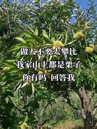 #快来一起尝个鲜 今日下单有优惠