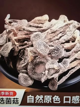 #鹿茸菇