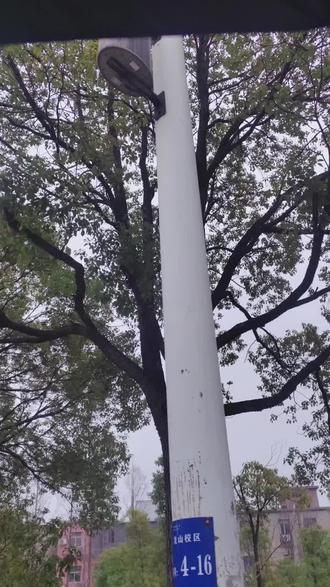 🩵🩷学校的枳妹太给力了!!!🩵🩷#橹穆