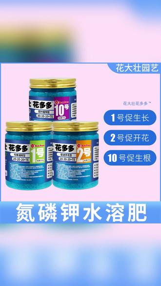 花大壮促花花卉月季绿植多肉家用微量元素栀子花花多多花多多2号 #养花小知识 #花卉绿植 #花多多 #爱生活爱养花 #花多多水溶肥