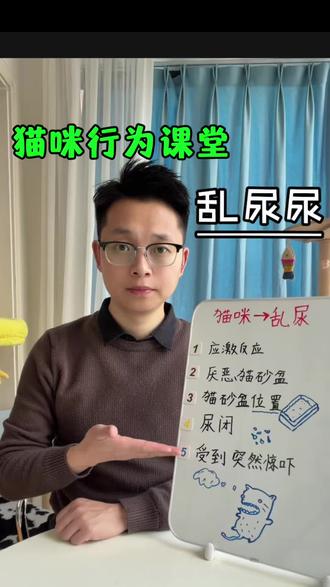 猫咪行为解读——乱尿尿#猫咪#行业大揭秘 #猫咪乱尿 #科普冷知识 我#养猫人