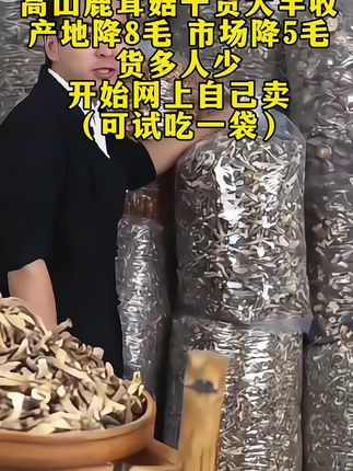 #鹿茸菇#舌尖上的味道 #快来一起尝个鲜 #优质农产品 #强烈推荐