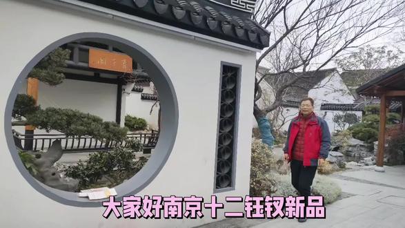 #记忆中的期盼已久的,南京十二钗钰钗新品,于2026年元春上市。
南京十二钗 钰钗 ,她不只是一支烟,她是东方美学与现代工艺的完美融合。
无论是你休闲,还是商务社交,她都能为您增添一份独特的雅致格调。