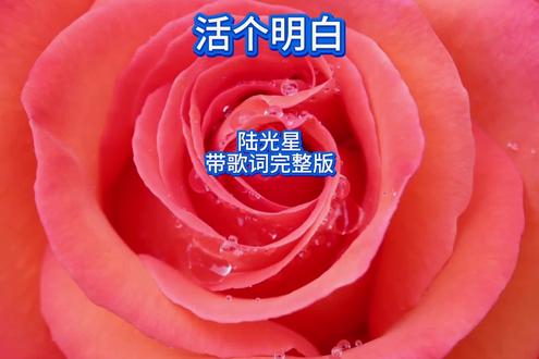 《活个明白》陆光星 带歌词完整版