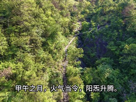 甲午月要来喽 #甲午月 #2026 #道教文化 #正一派 #国学文化