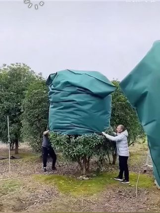 #果树防寒罩 #我要上热们 #好物推荐🔥 #好产品一起分享