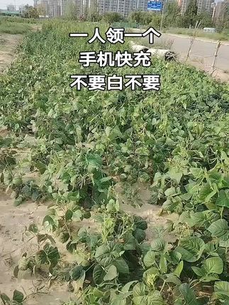 适用于华为荣耀安卓系列手机,Type-c接口数据线#数据线 #充电器 #手机快充数据线推荐 #数码科技 #爆款热卖中