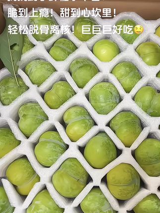 挖到宝了家人们!!蜂糖李的平替被我找到了——就是这脱骨李! 咬一口直接惊掉下巴,脆到牙齿都在跳恰恰,甜得像把蜜罐子揣进了嘴里,从舌尖甜到心尖儿~最绝的是它脱骨离核的本事,果肉和果核乖巧分离,一口塞进嘴里全是纯纯的清甜果肉,根本停不下来!谁吃谁沦陷,信我,冲就对了! #脱骨李#李子熟了#新鲜应季水果#脆甜多汁#口感特别好