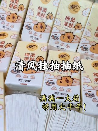 清风大品牌挂抽纸,到手10大提!#挂抽 #清风 #抽纸 #悬挂式抽纸 #自用好物推荐