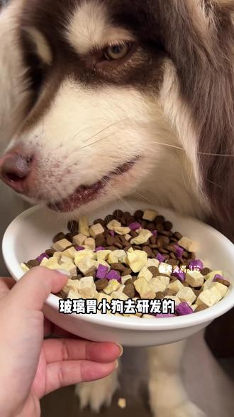 麦富迪乐活狗粮,大包的试吃,库存没太多了#麦富迪 #麦富迪乐活狗粮 #狗粮 #麦富迪狗粮