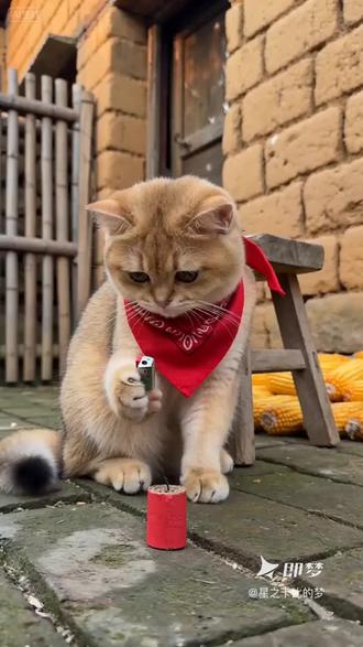 #即梦Seedance2.0教程 我在即梦发现了一个超棒的作品!来即梦AI,看更多精彩内容!#Seedance2.0 #即梦AI #AI分身戏精大赛 #我的AI分身杀疯了