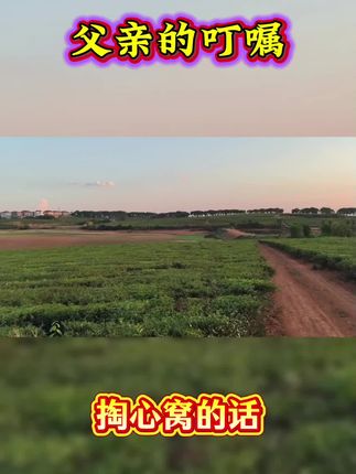 #人生感悟#情感共鸣#老人言#父爱如山