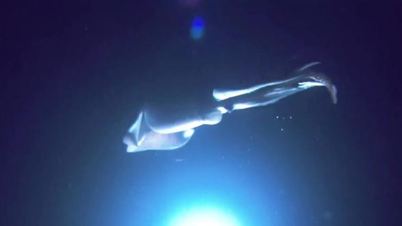 5.深海 “声波屠夫” 抹香鲸:236 分贝震碎耳膜,千米深海憋气 2 小时,语言复杂度碾压人#抹香鲸 #抹香鲸睡觉 #抹香鲸大王乌贼 #抹香鲸搁浅 #抹香鲸和大王酸浆鱿的大战