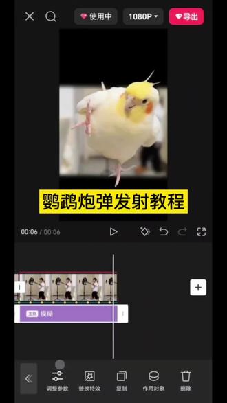 鹦鹉炮弹发射教程狗狗发射特技 ,视频素材源于@🐦蓝莓莓、小狗冲出屏幕外视频制作教程,#萌娃发射特技 #剪映 #狗狗冲出屏幕 #萌宠发射 #剪辑教程