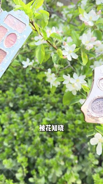 花知晓小集邮礼盒,全套彩妆超治愈✨#花知晓 #花知晓小集邮礼盒 #化妆 #送礼