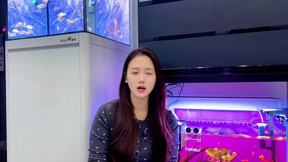 新手养鱼之迷你鹦鹉鱼繁殖,从鱼卵到起飞保姆级教程#迷你鹦鹉鱼#迷你鹦鹉鱼繁殖#养鱼经验分享#养鱼日记#养鱼人