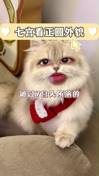 七宫看正圆外貌 #星盘 #星盘分析 #星座 #情感 #七宫