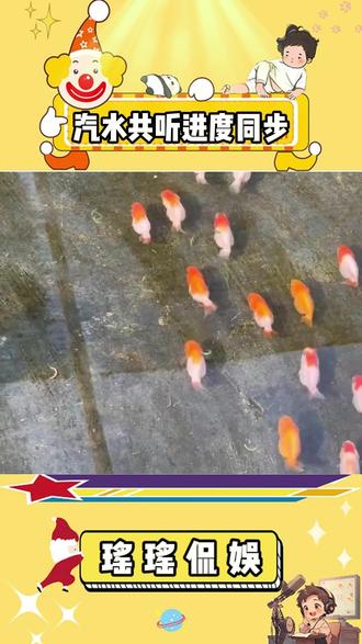 汽水共听 进度同步 #汽水音乐 #一起听