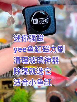 鱼缸内壁怎么清理,一个迷你磁力刷帮你解决所有难题,让你的小鱼缸更加干净清透#鱼缸清理神器 #除藻神器 #磁力刷 #鱼缸清理