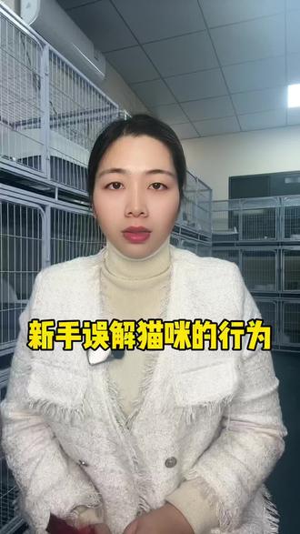新手误解猫咪的行为#养猫经验分享 #养猫人