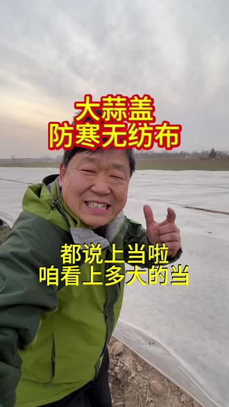 #大蒜返青期管理 第211集大蒜盖无纺布都说上当啦#大蒜盖无纺布 #防根腐的小蓝袋 #大蒜返青肥 #老姚说葱蒜 @老姚说大葱 @DOU+小助手