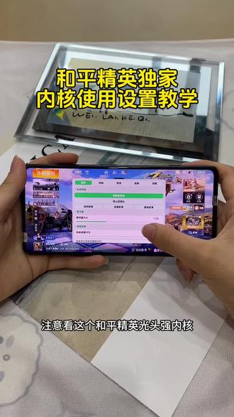最新内核驱动详细使用安装分享#内核#和平精英#分享#游戏