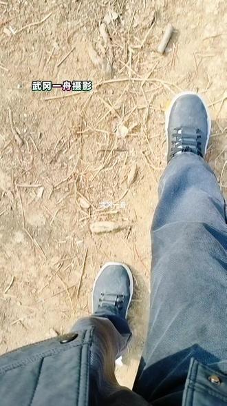 武冈狮子山狮子湖水库野游天然氧吧#红杉树