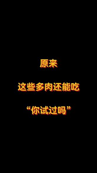 原来这些多肉还能吃,你试过吗?#多肉植物 #多肉 #多肉花盆