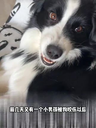 养宠的家人们一定要做到#科学养宠 千万不要偏听偏信#养狗人 #养狗经验分享 #养狗 #狂犬病