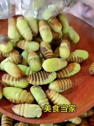 【速冻神仙蛹】东北小神仙蛹半蚕半蛹软皮茧蛹鲜嫩美味 #东北神仙蛹 #半蚕半蛹 #昆虫美食 #舌尖上的味道 #国庆假期被安排明白了 @美食当家