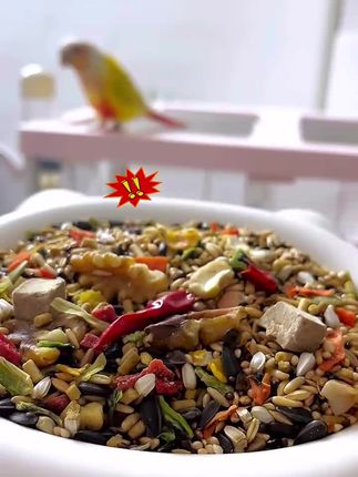 开元鸡星人全价鹦鹉粮玄凤牡丹小太阳和尚鸟食鹦鹉食粮小太阳鹦鹉 开元鸡星人全价鹦鹉粮玄凤牡丹小太阳和尚鸟食鹦鹉食粮小太阳鹦鹉#好物推荐🔥