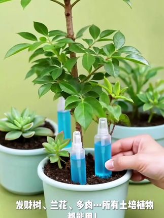 #植物再生剂
