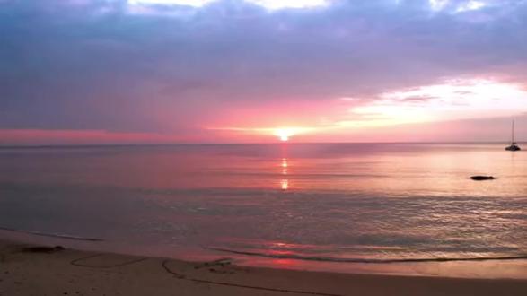 《海屿你》存档~字幕未校准#听潮阁缘 #群星之约缘