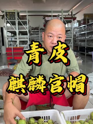 麒麟纹官帽青皮#文玩核桃 #文玩爱好者 #青皮核桃 #麒麟纹官帽