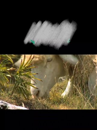 #生活服务热点中心 #煎饼主理人 @DOU+小助手