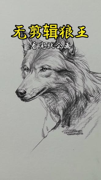 狼王还是帅呀,喜欢也来试试吧 #手绘 #手绘教程