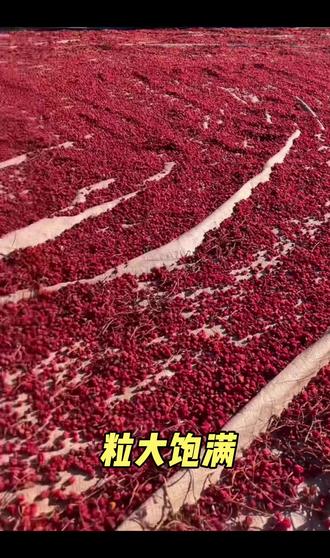 五味子这样更好喝#五味子 #五味子茶 #长白山北五味子 #三农流量扶持计划 #有想喝的吗