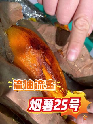 软糯香甜,地道山东蜜薯,一口流油太满足! 香甜软糯烟薯25号,流油流蜜,口感特别棒#烟薯25号 #烟薯 #番薯 #我的双十一必买清单