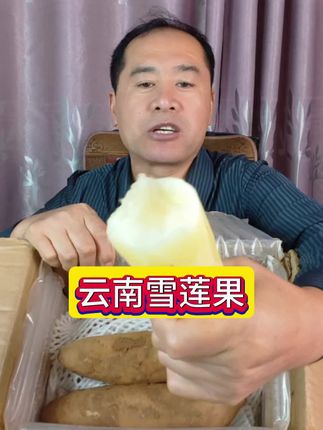 #雪莲果 #天山雪莲果 #云南雪莲果 #水果推荐