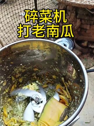 碎菜机打瓜果蔬菜喂鸡鸭 #碎菜机喂鸡家用 #养殖好帮手 #省时省力省人工 #家用饲料粉碎机