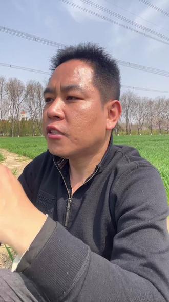 玉米种植时间要选对,底肥撒施要精准#玉米 #玉米种子 #玉米管理 #玉米种植 #三农