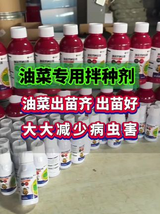 油菜专用拌种剂,油菜出苗齐出苗好,减少病虫害#油菜种植 #油菜 #油菜拌种 #油菜拌种剂