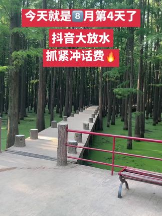 #天然氧吧 #户࿆外࿆活࿆动 #感受大自然 #夜景实拍 #公园景观