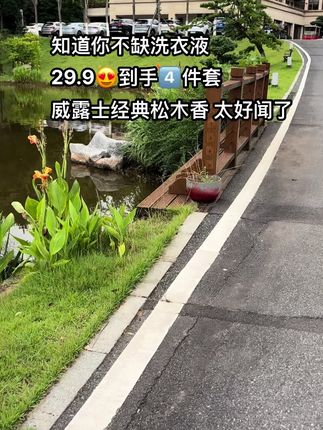 快快快!威露士大品牌洗衣液来活动了,还是巨巨巨好闻的松木香味道的,这个价到手四件真的超级实惠#威露士洗衣液 #洗护好物 #洗衣液 #持久留香 #威露士松木香洗衣液