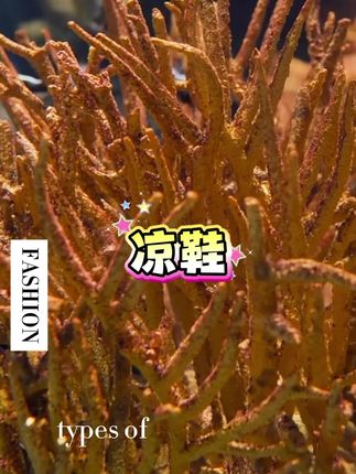 #凉鞋#编织凉鞋#厚底凉鞋