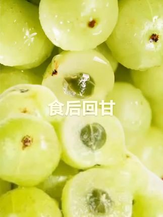 食后回甘的油甘果#大自然的馈赠