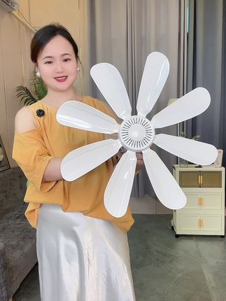 #吊扇#源头实力厂家