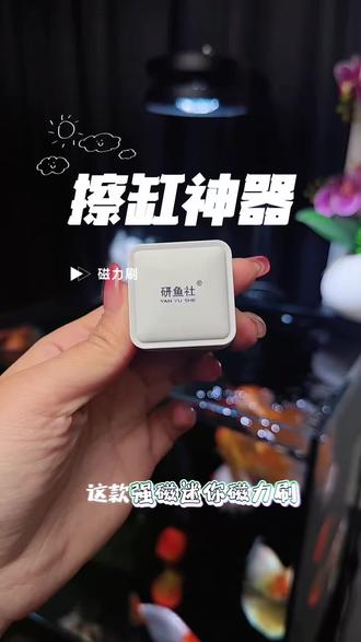 鱼缸清洁神器磁力刷 擦缸真的太方便了#鱼缸清洁刷#磁力刷 #鱼缸刷